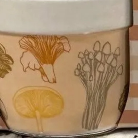 CIROA THE BAKEHOUSE SET OF 4 RAMEKINS, MUSHROOM MOTIF, NIB - Picture 6 of 8